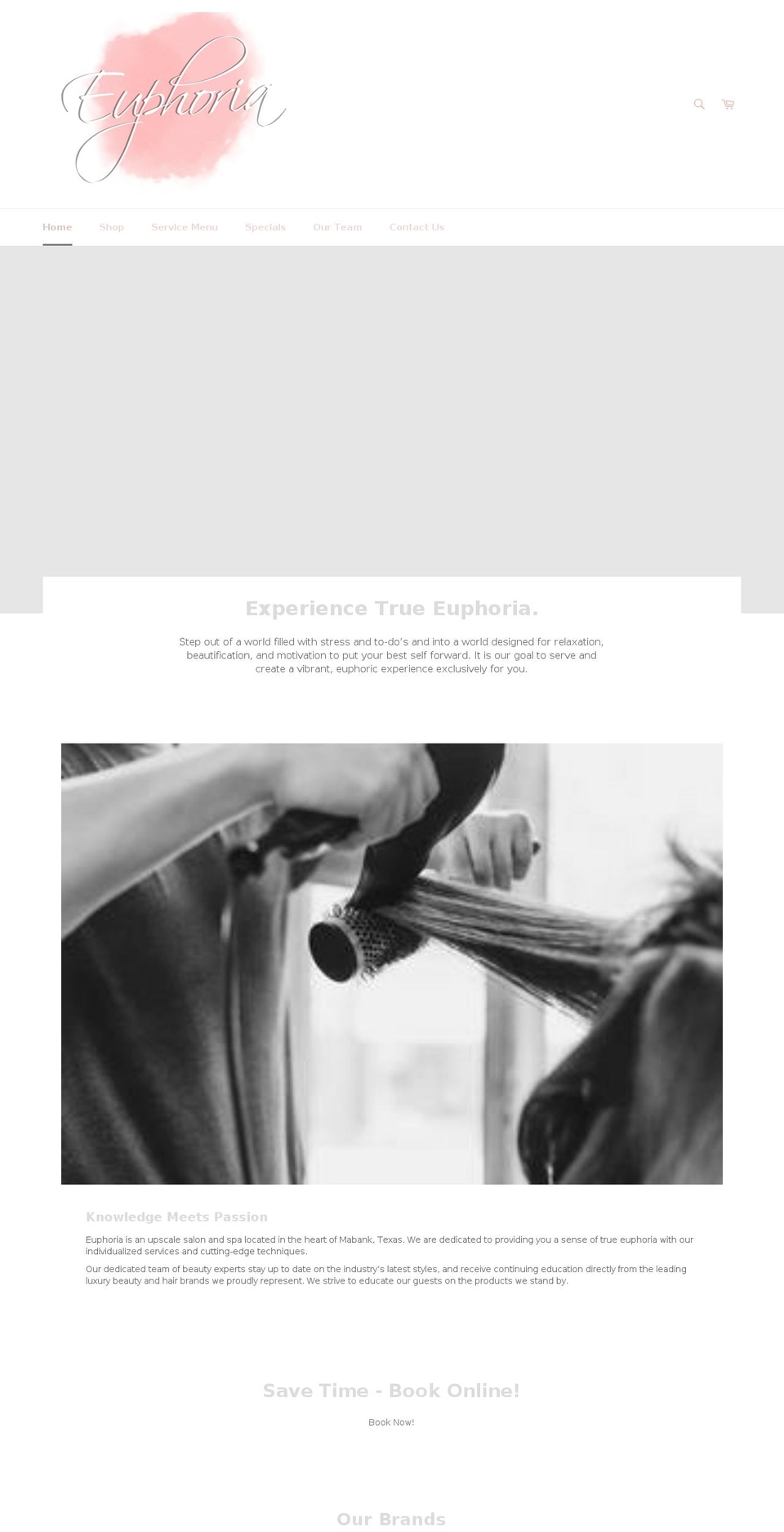 saloneuphoriaandspa.com — Shopify storefront screenshot