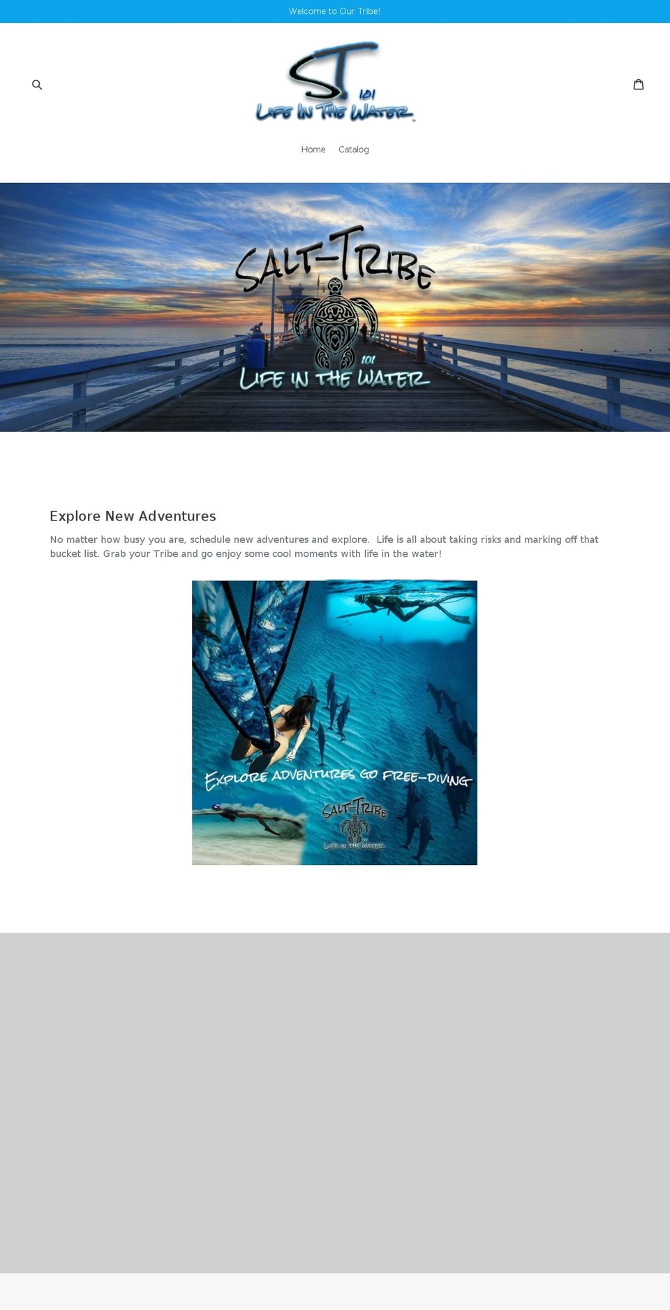 salt-tribe.com — Shopify storefront screenshot