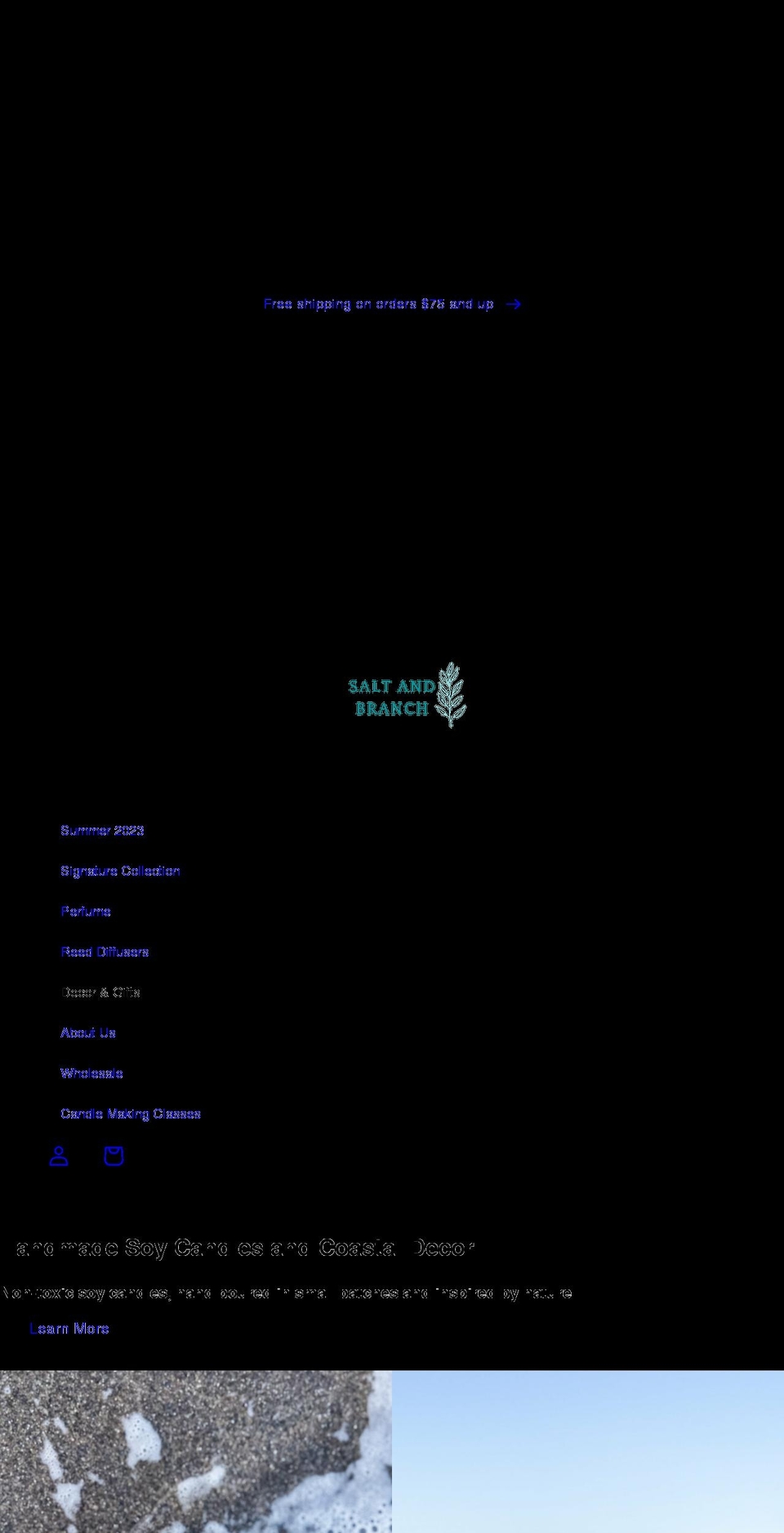 saltandbranch.com shopify website screenshot