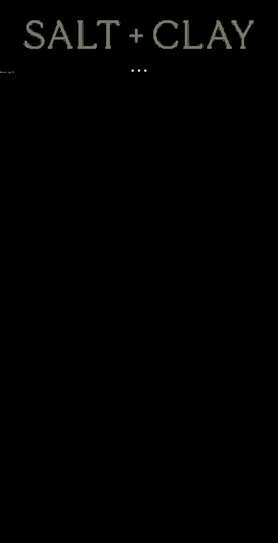 saltandclayskincare.com shopify website screenshot