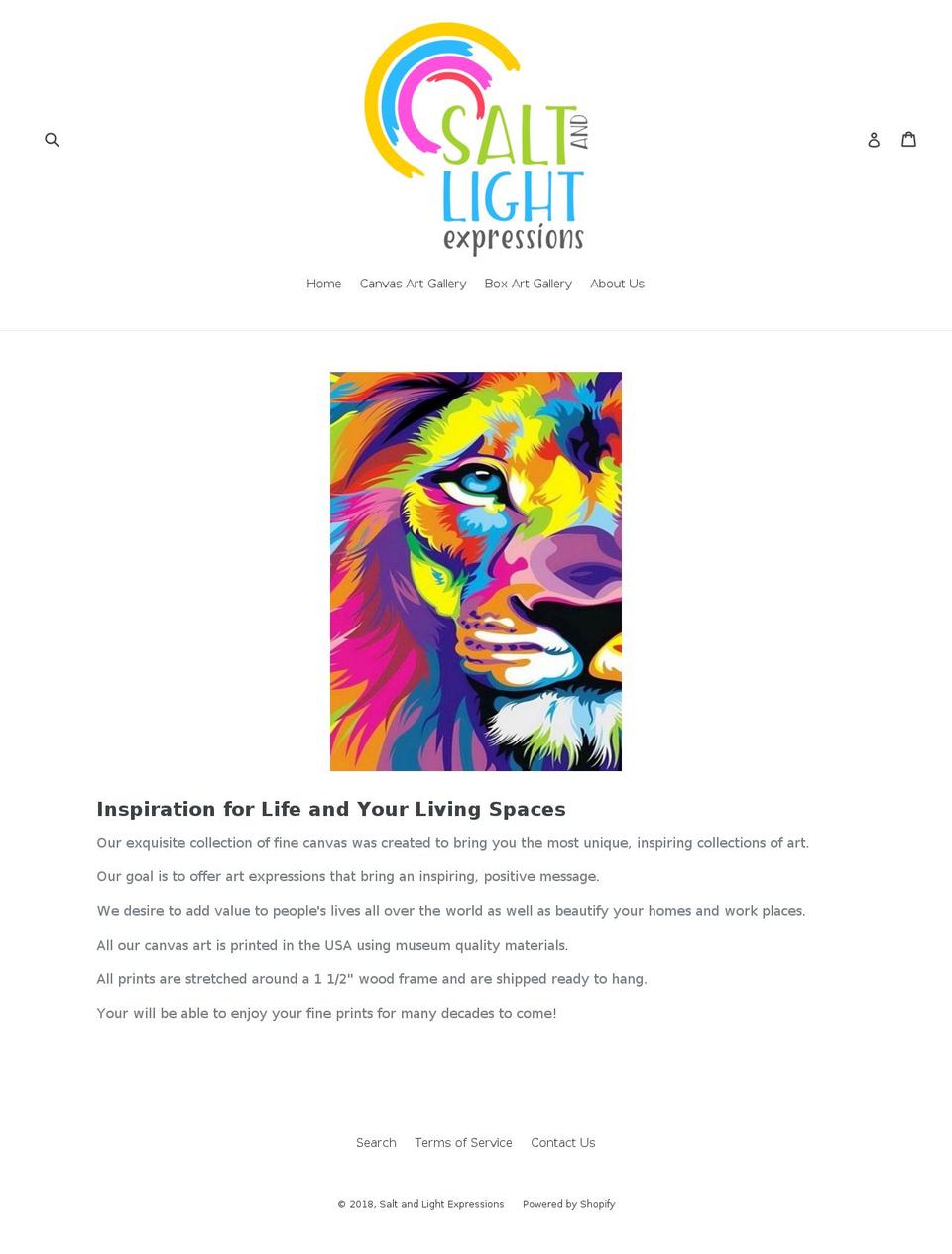saltandlightexpressions.com — Shopify storefront screenshot
