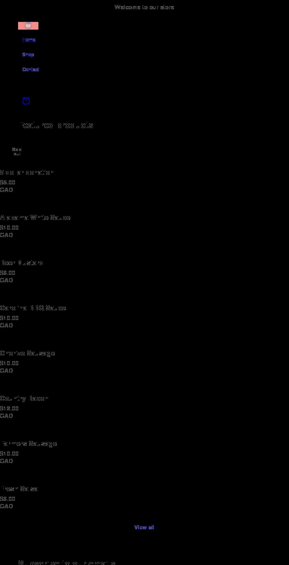 saltandswine.ca shopify website screenshot