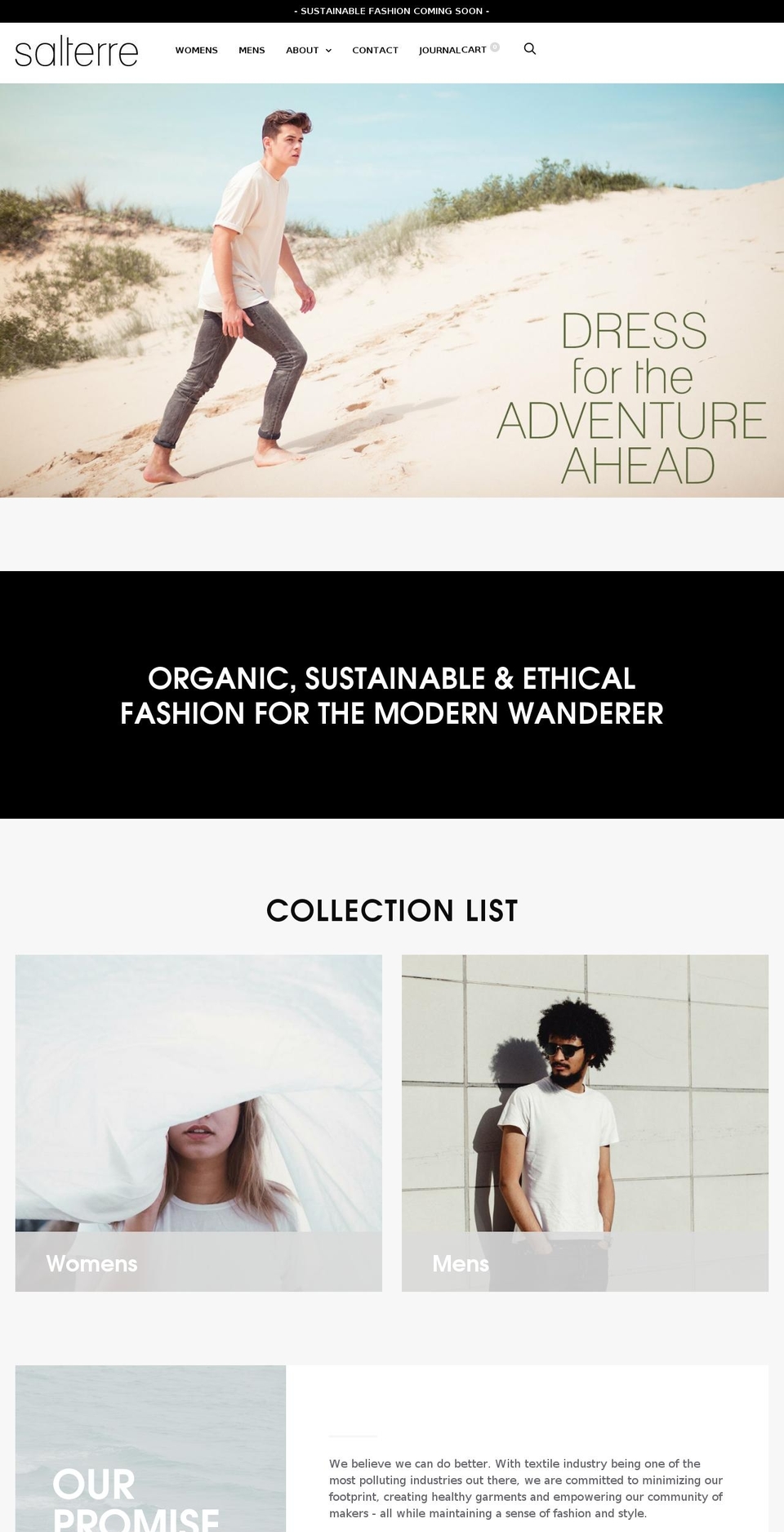 salterre.com — Shopify storefront screenshot