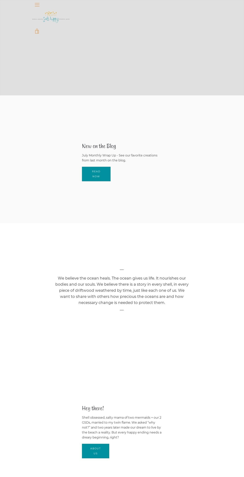 Narrative with Installments message Shopify theme site example salthippy.com