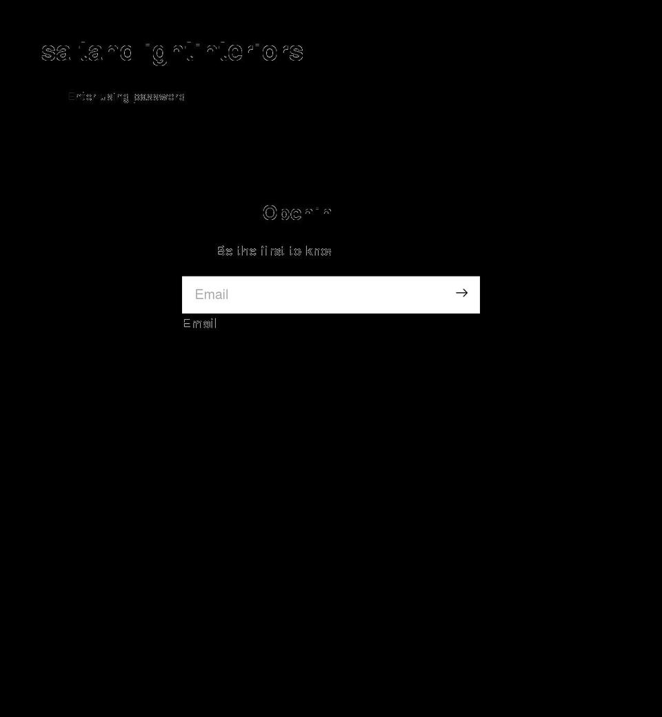 saltlightinteriors.com shopify website screenshot