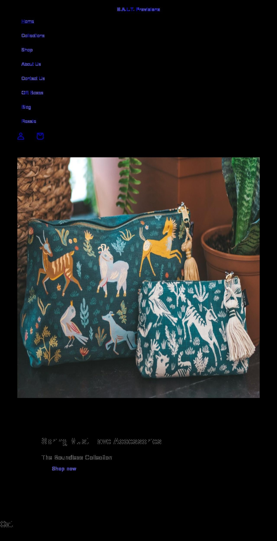saltprovisions.com shopify website screenshot