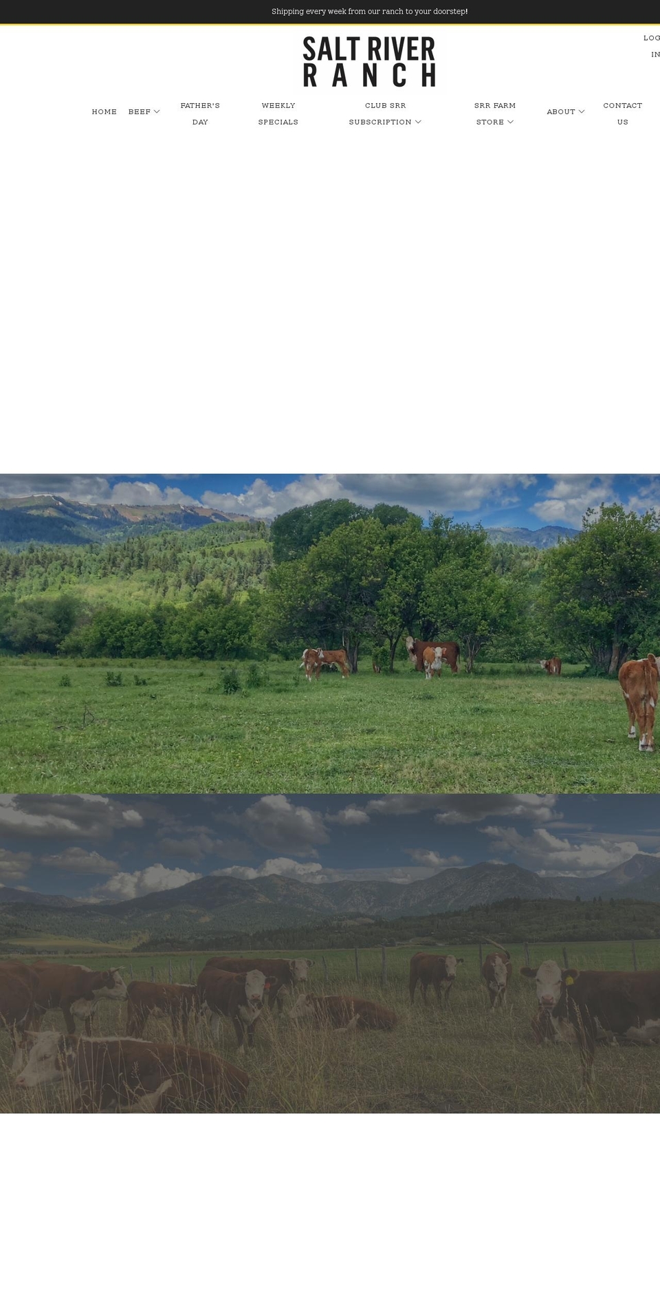 saltriverranch.com shopify website screenshot