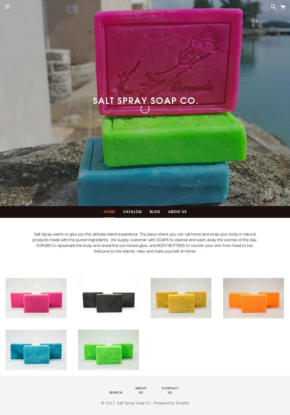 saltspraysoap.com shopify website screenshot