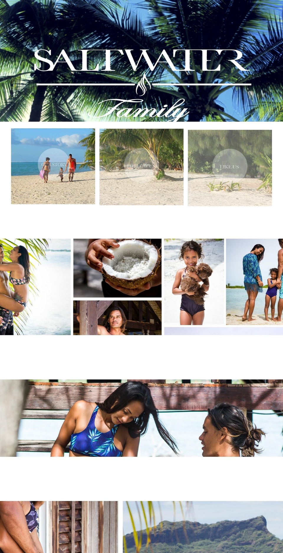 saltwater-family.com shopify website screenshot