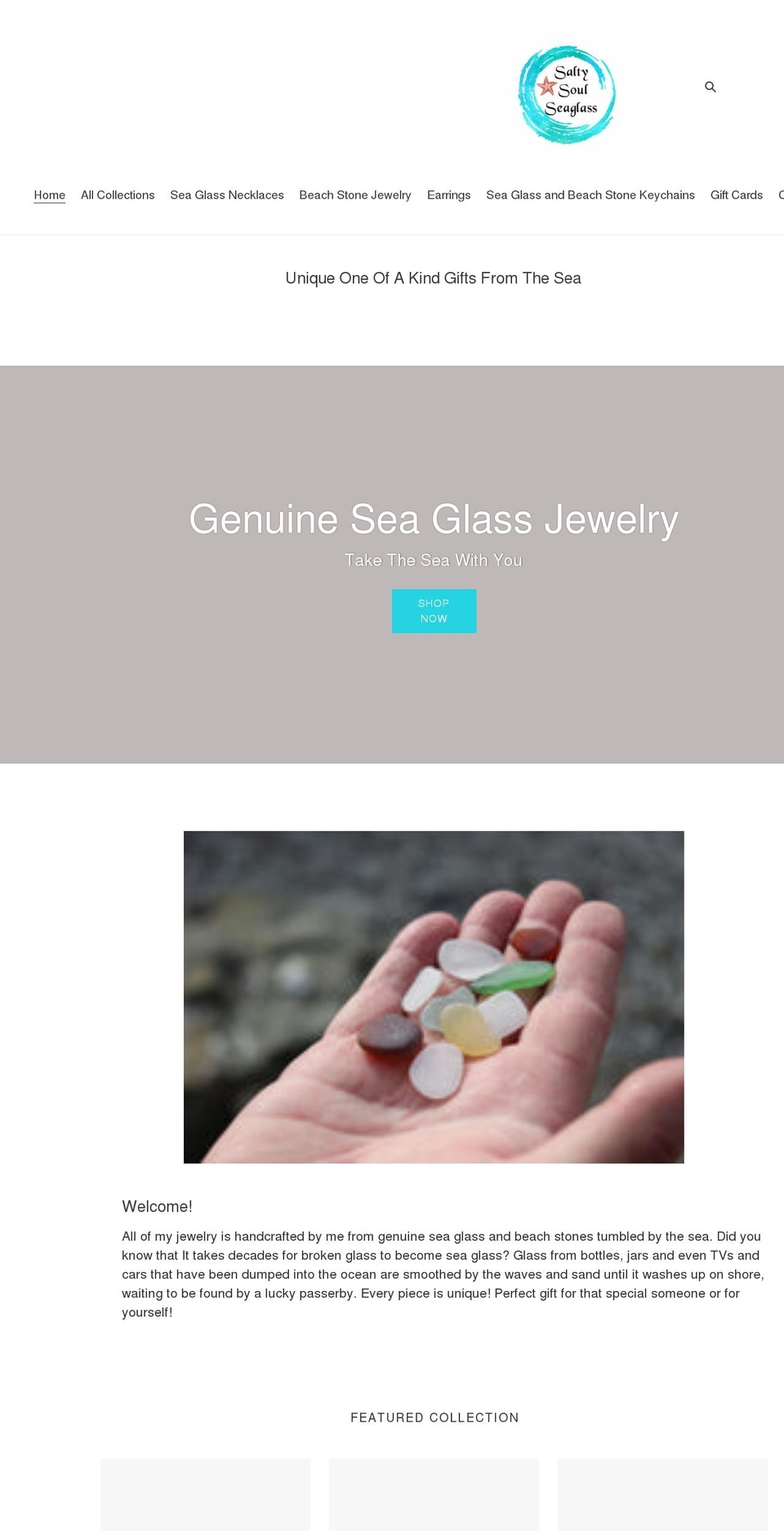 saltysoulseaglass.com shopify website screenshot