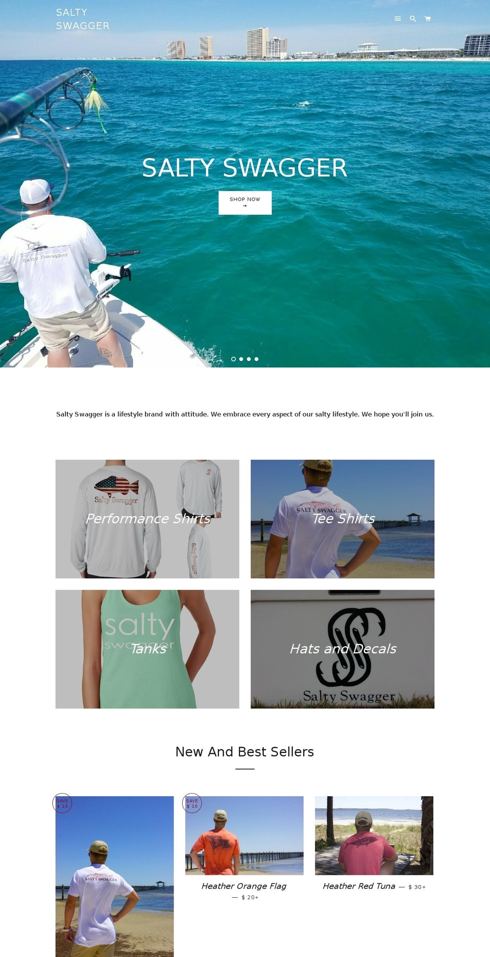 saltyswagger.net shopify website screenshot