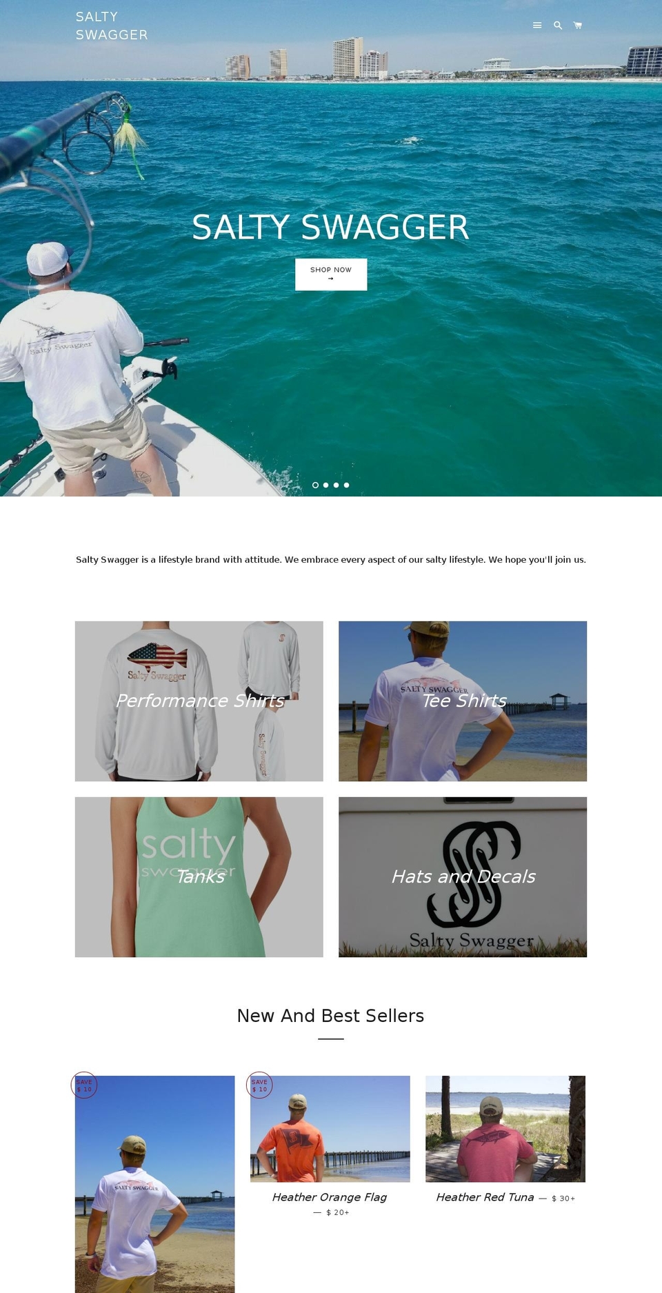 saltyswagger.org shopify website screenshot