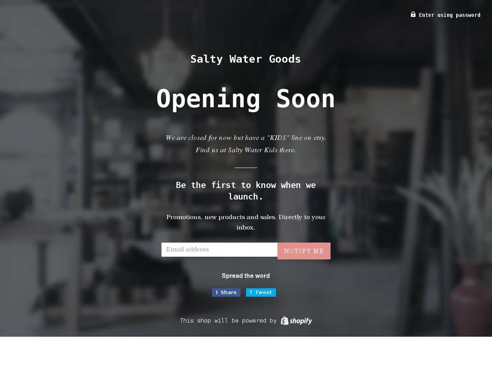 saltywatergoods.com shopify website screenshot