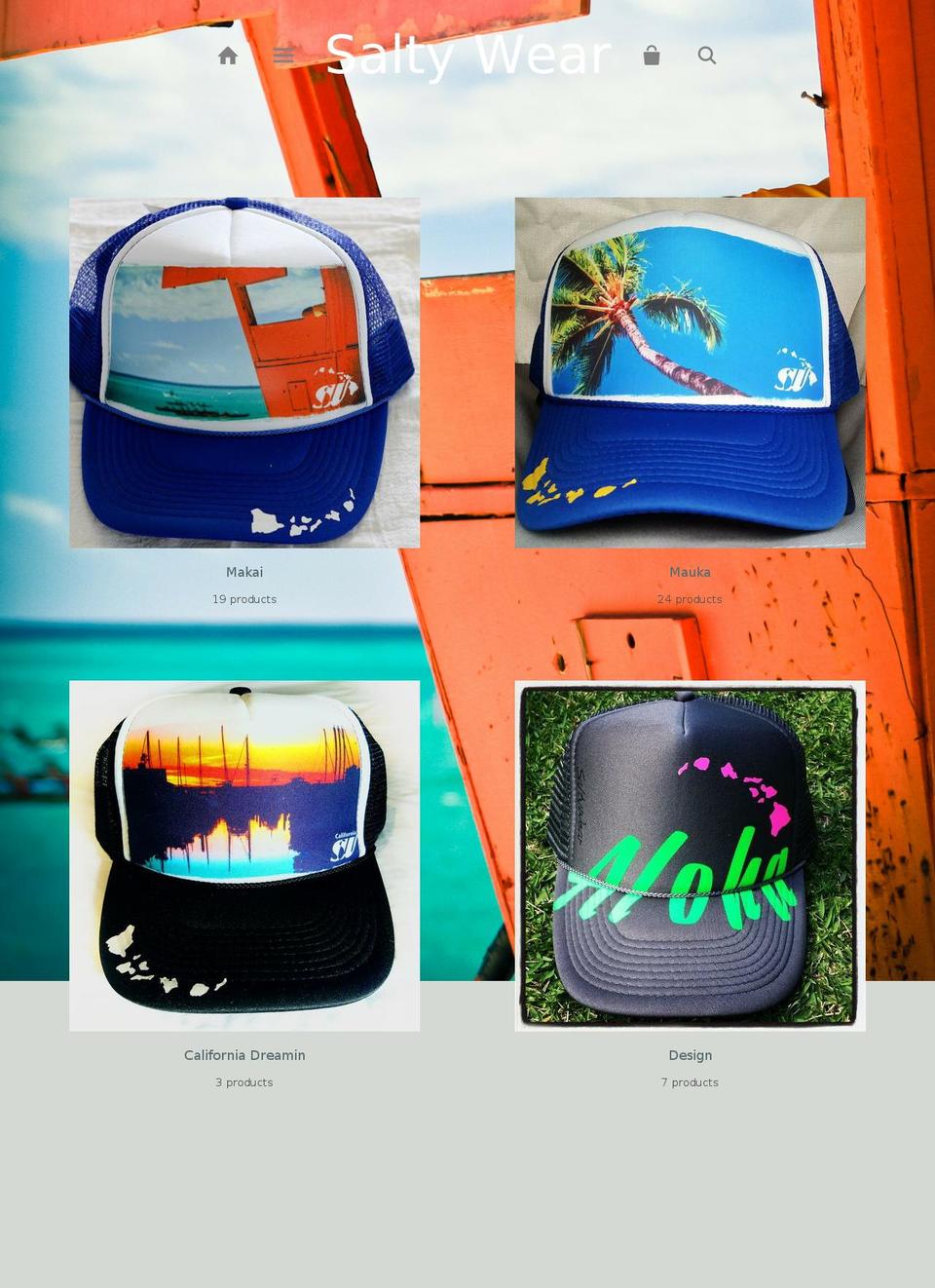 saltywear.com shopify website screenshot