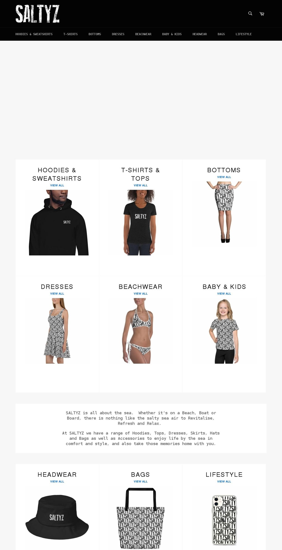 saltyz.store shopify website screenshot