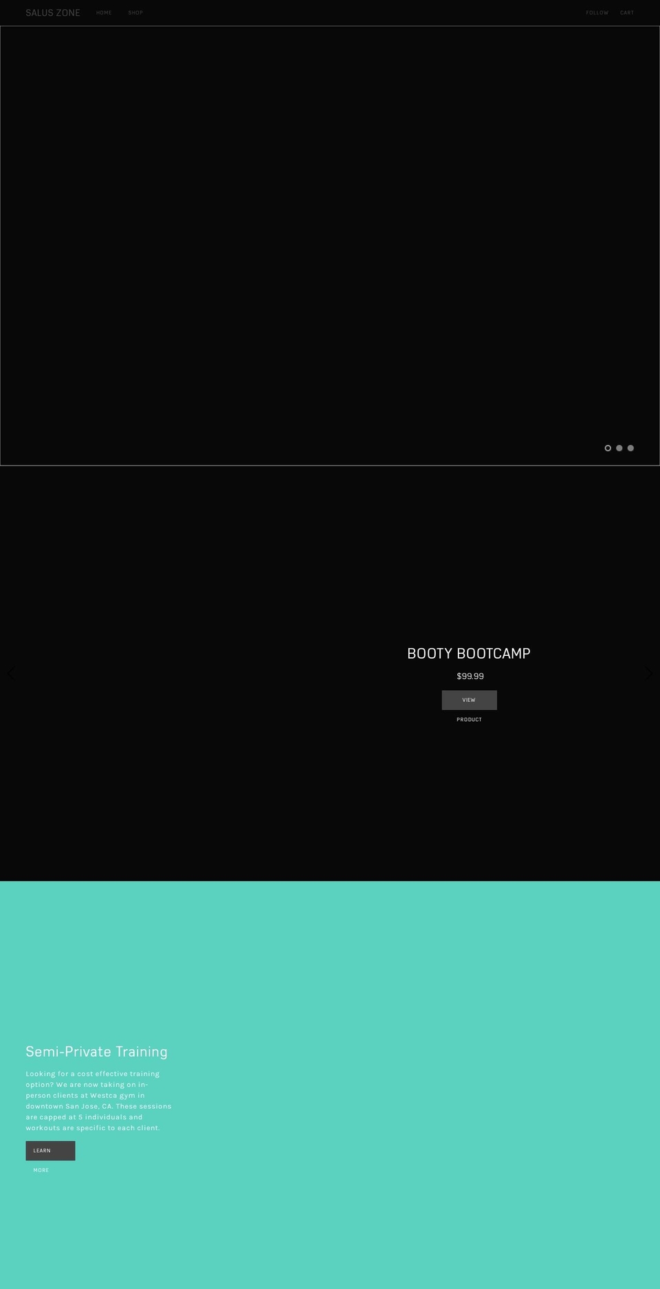 saluszone.com shopify website screenshot