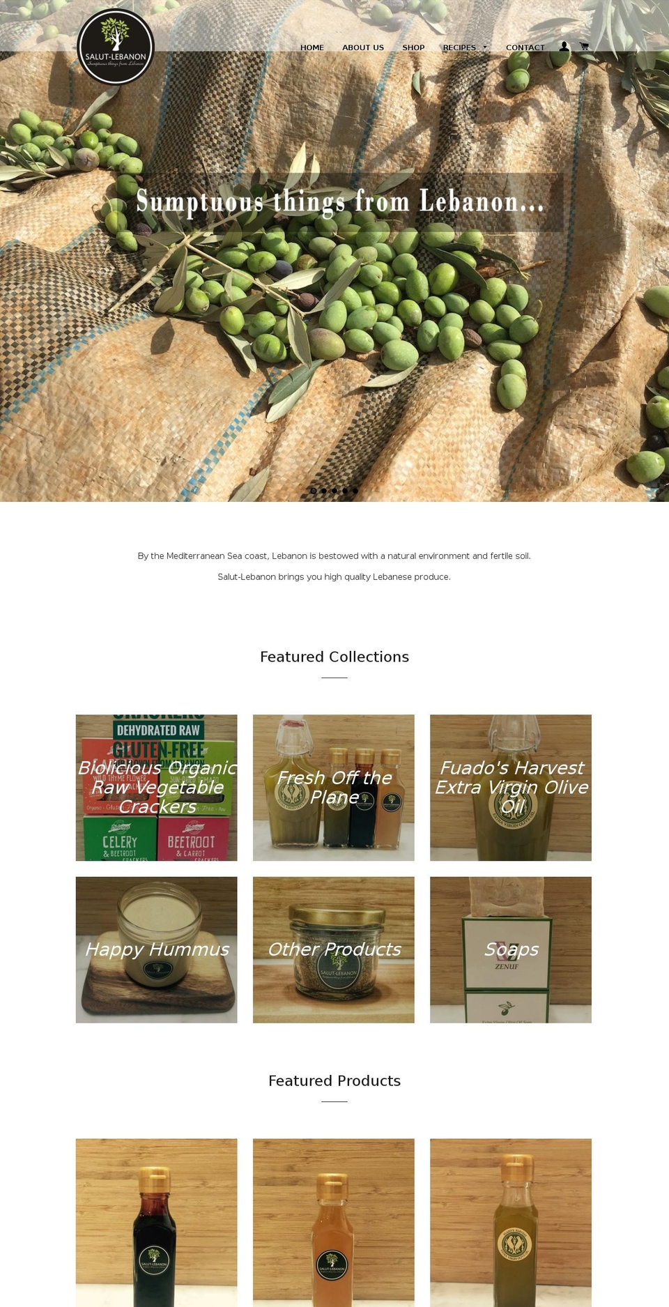 salut-lebanon.com shopify website screenshot