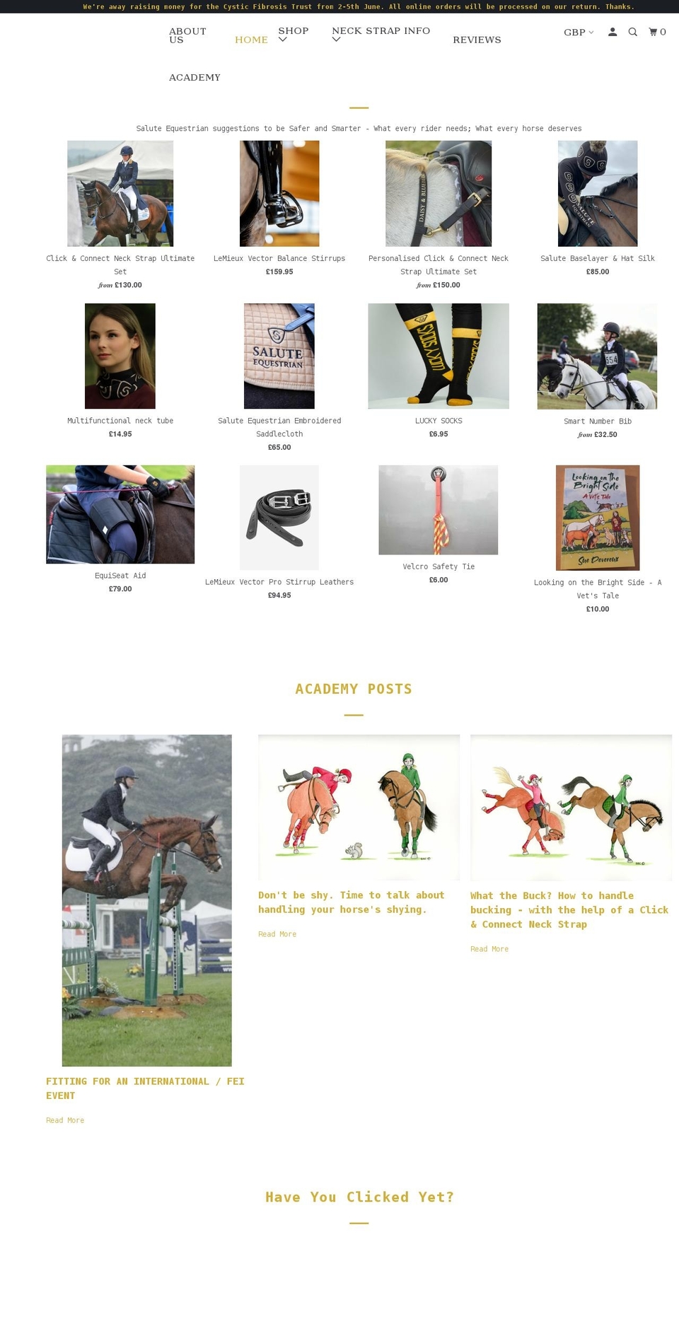 saluteequestrian.com shopify website screenshot
