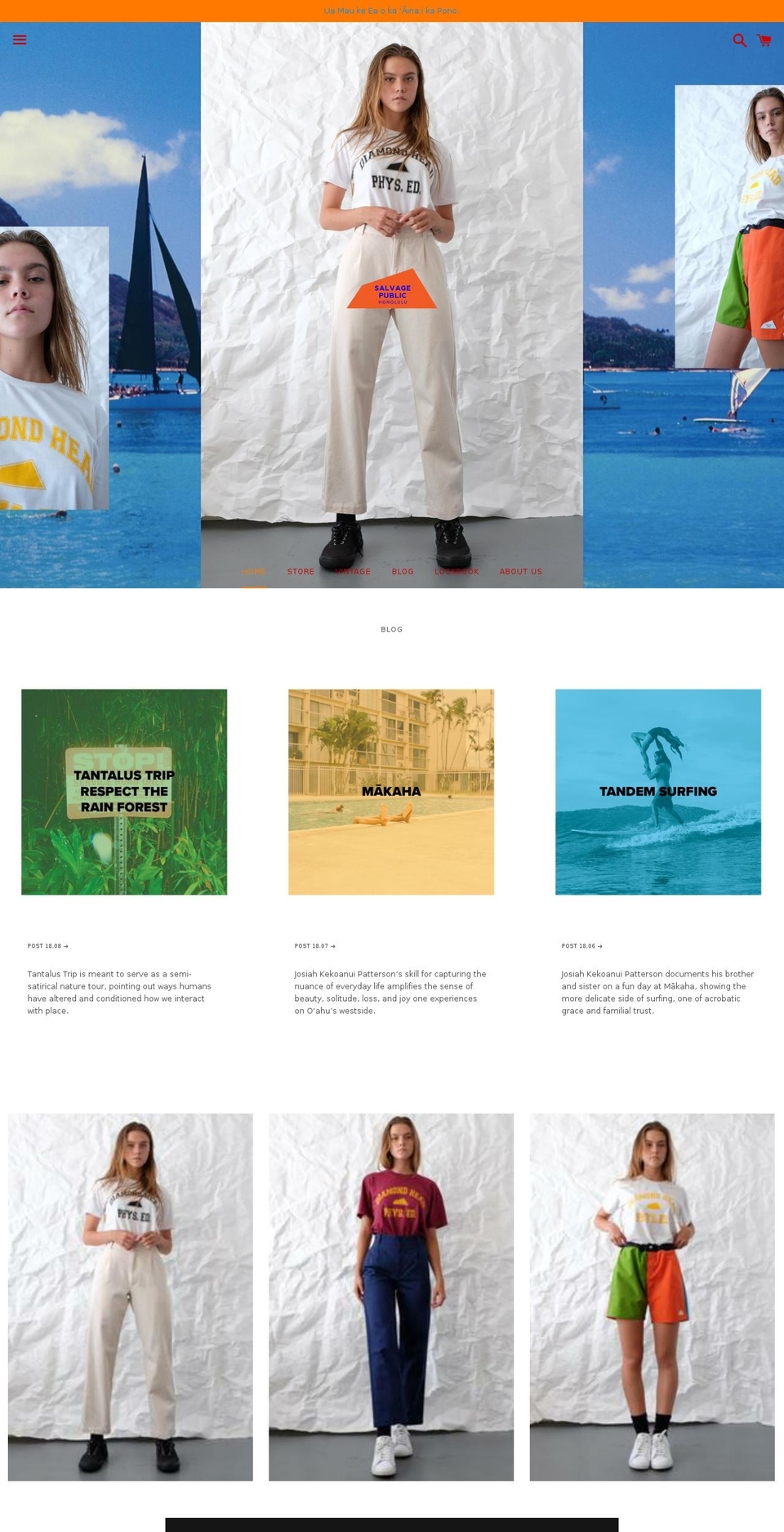 salvagepublic.com shopify website screenshot