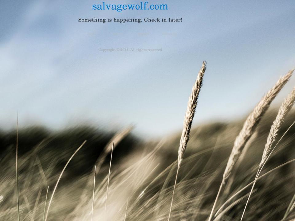 salvagewolf.com shopify website screenshot