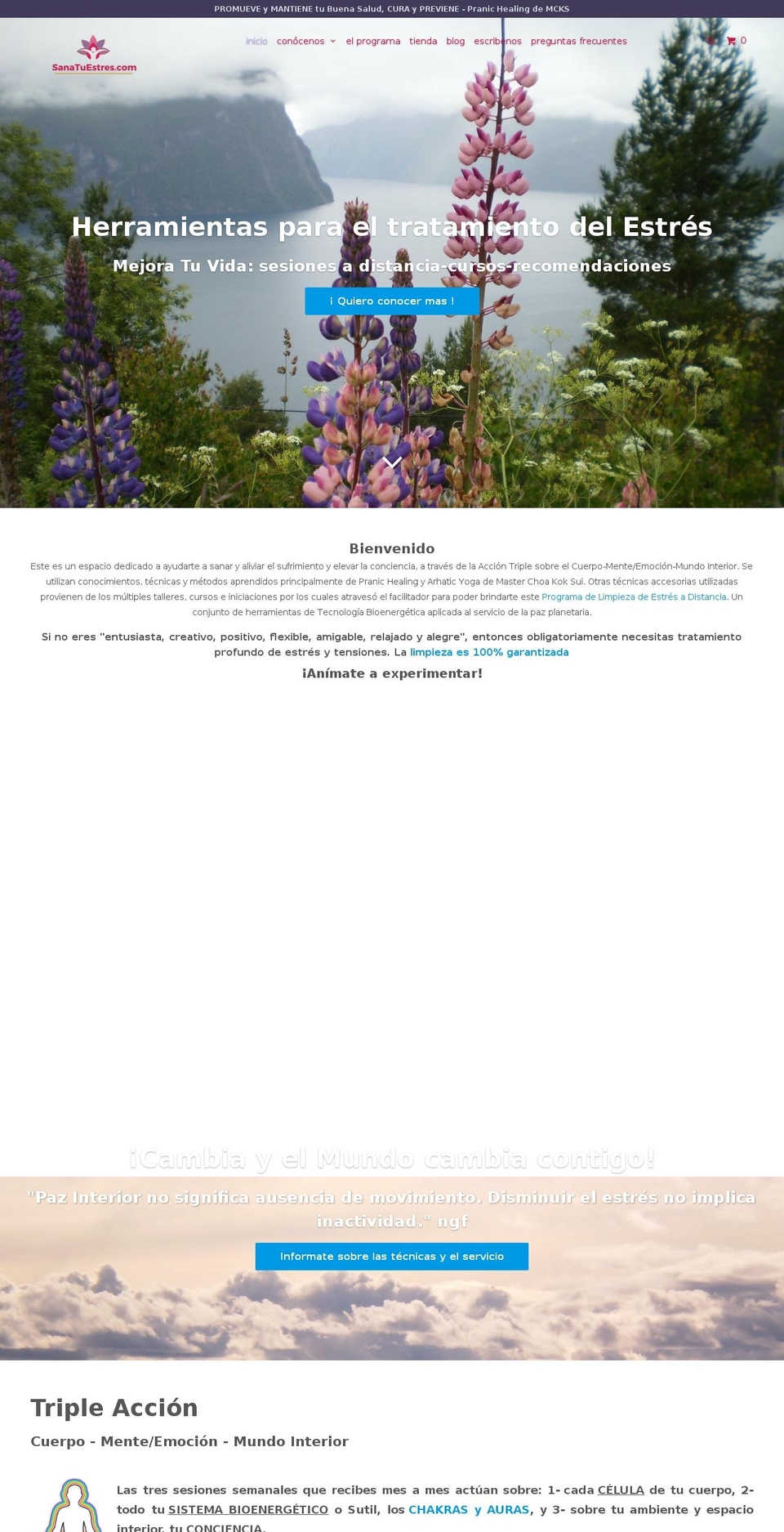sanatuestres.com — Shopify storefront screenshot