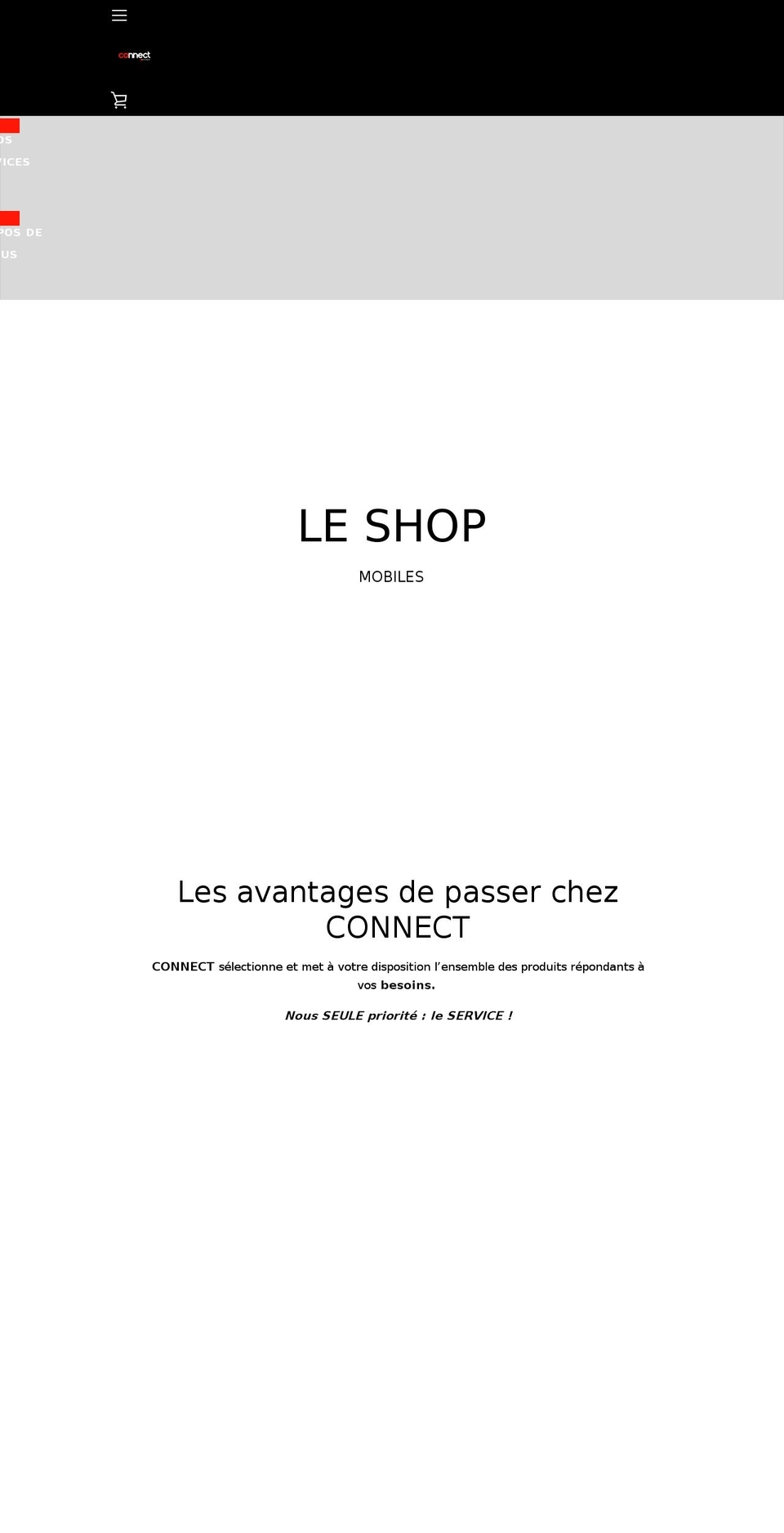 sap-france.com shopify website screenshot