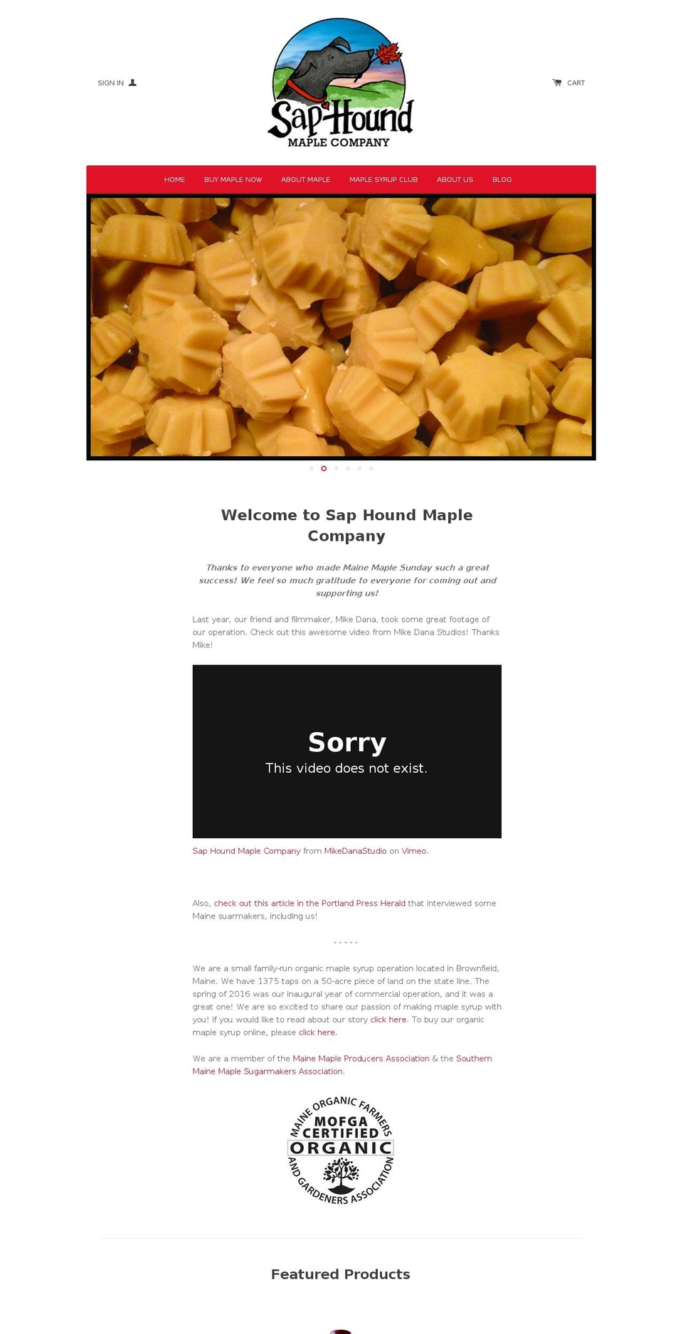 saphoundsyrup.com shopify website screenshot