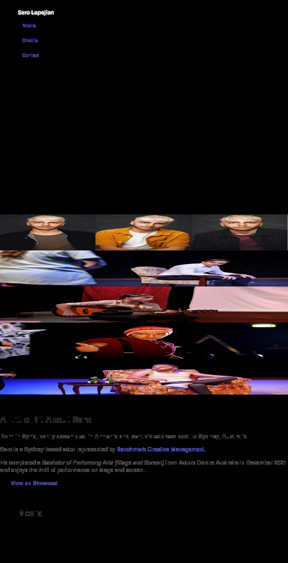 sarolepejian.com shopify website screenshot