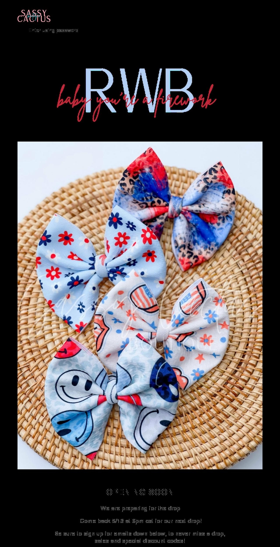 sassycactusb.com shopify website screenshot