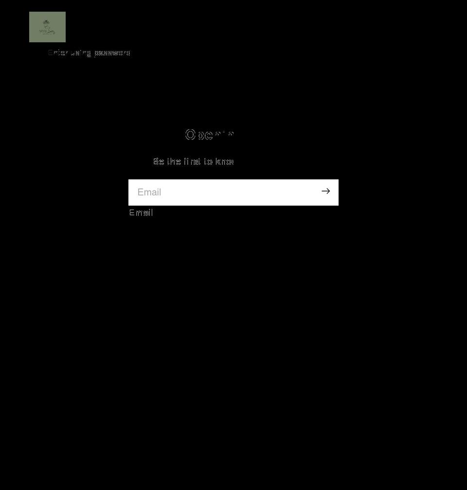 sassysallyboutique.com shopify website screenshot