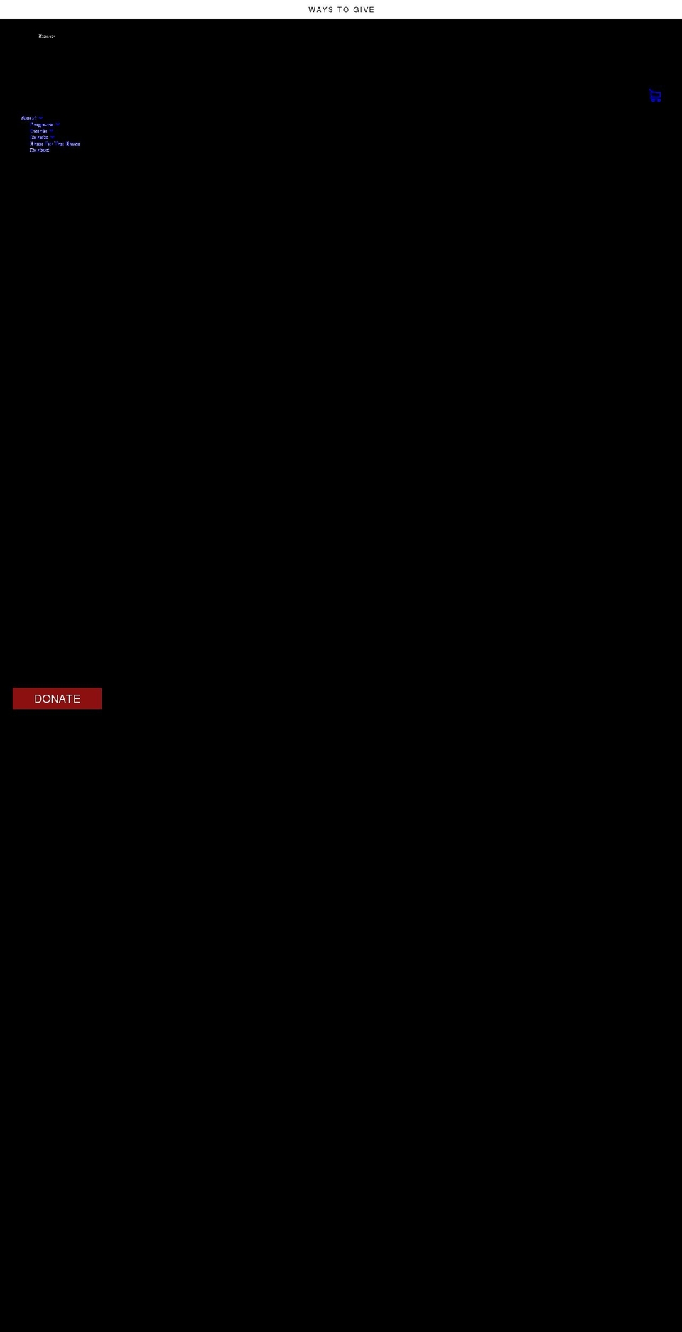 savethebrave.org shopify website screenshot