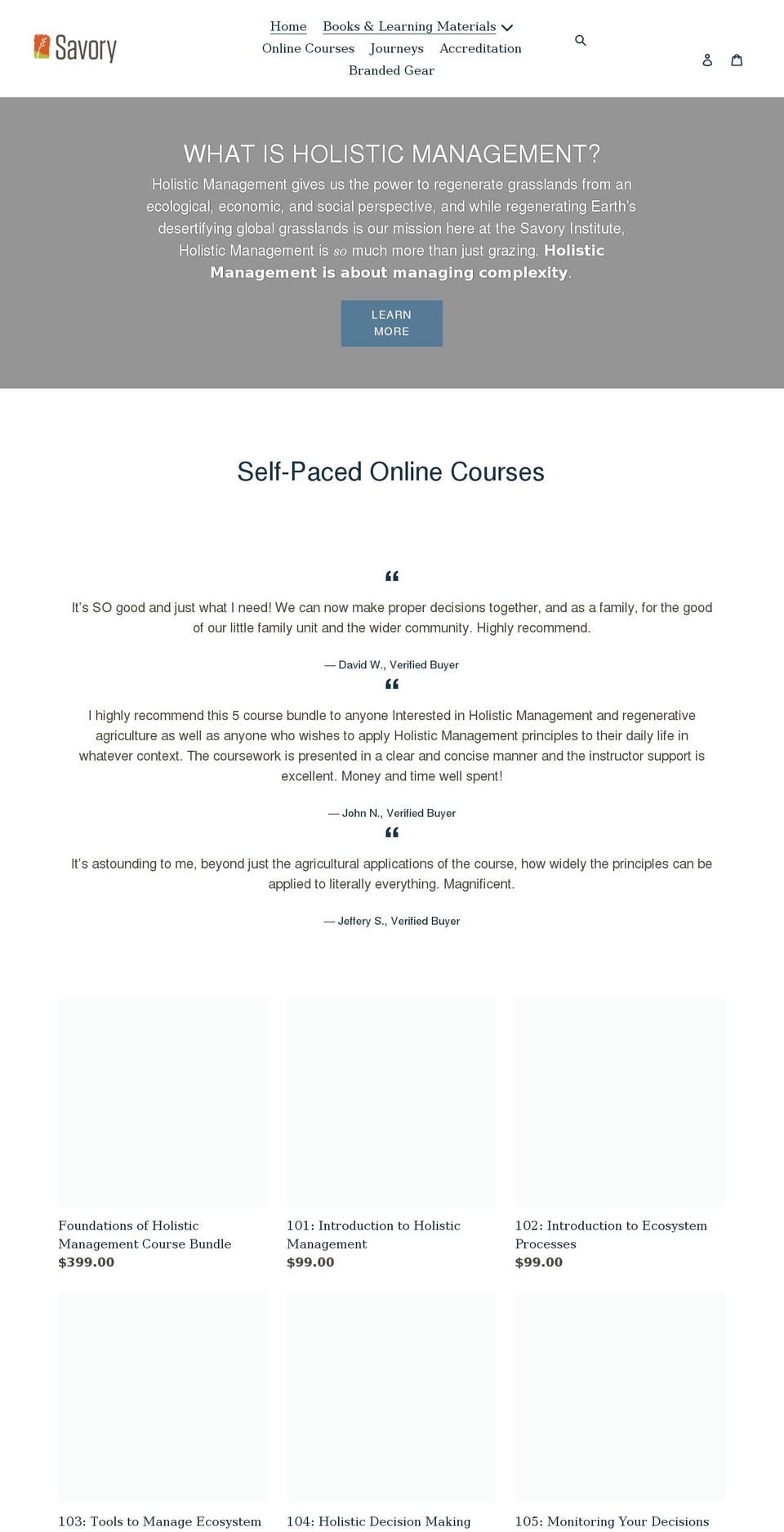 savory.shop shopify website screenshot