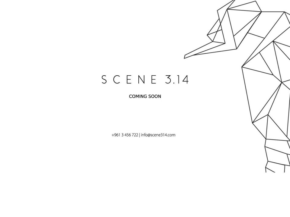 scene314.com — Shopify storefront screenshot
