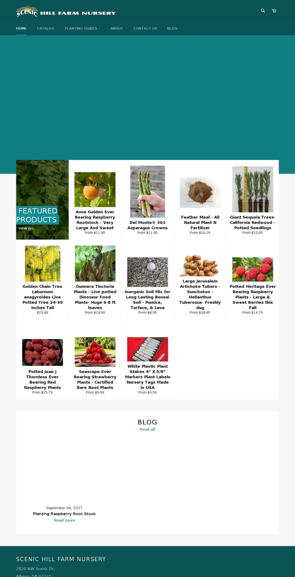 scenichillfarmnursery.com shopify website screenshot