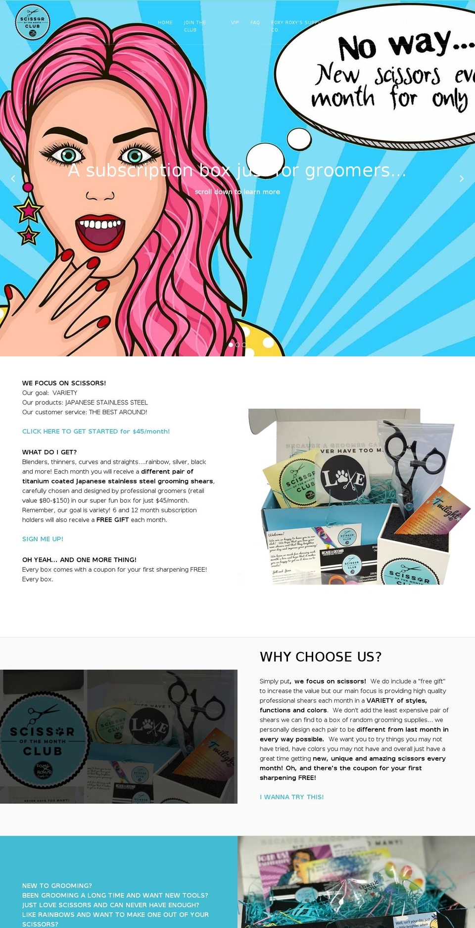 scissorofthemonthclub.com shopify website screenshot