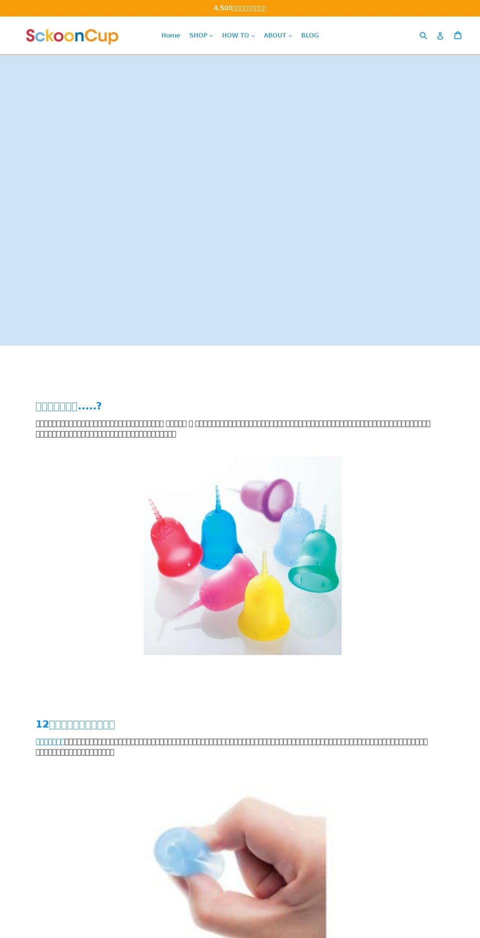 sckooncup.jp shopify website screenshot