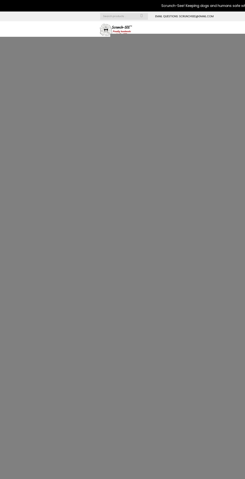 Copy of Kala-allinone-v Shopify theme site example scrunchsee.com