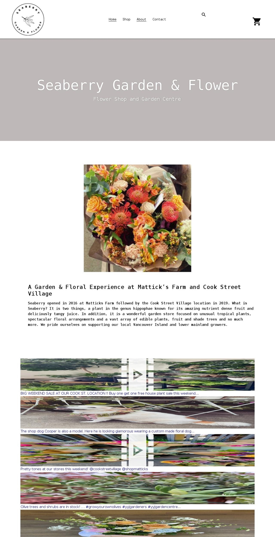 seaberrygarden.ca shopify website screenshot