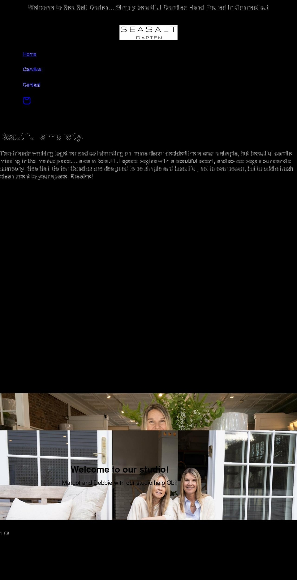 seasaltdarien.com shopify website screenshot