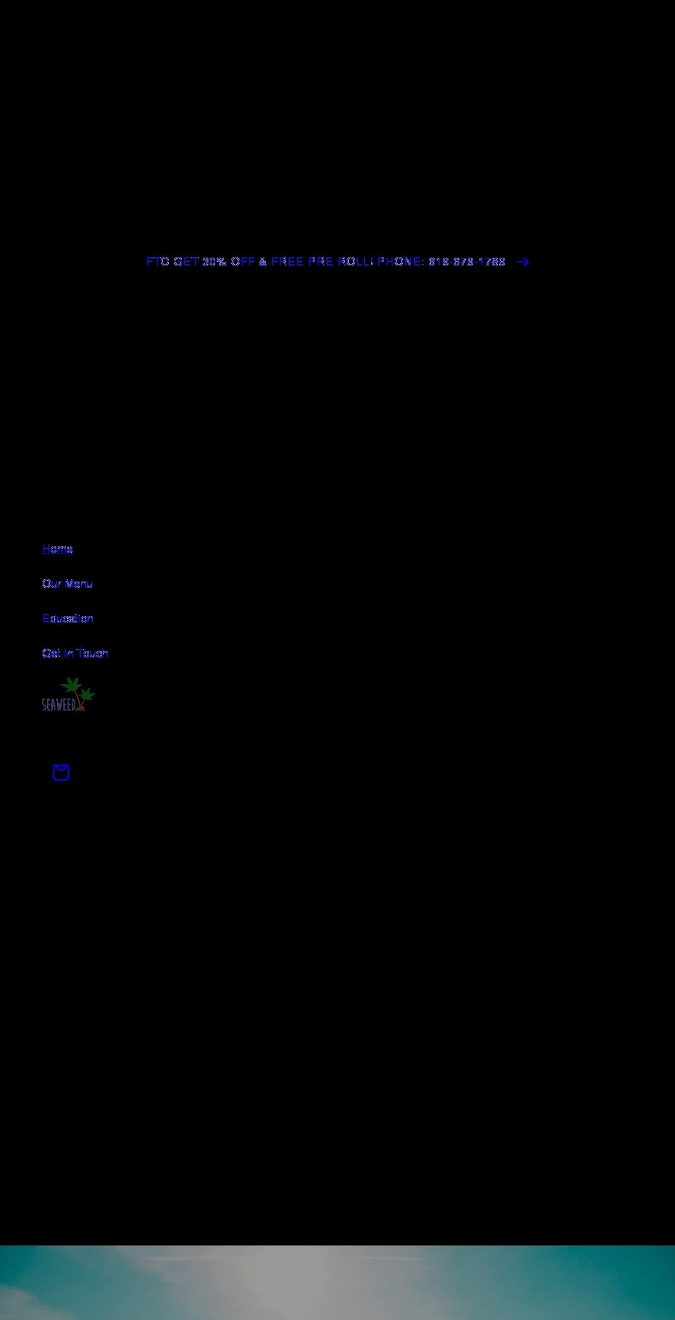 seaweeddelivery.com shopify website screenshot