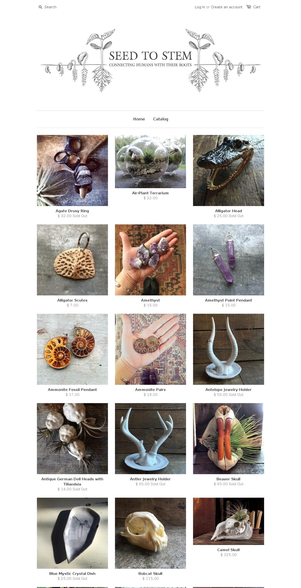 seedtostemshop.com shopify website screenshot