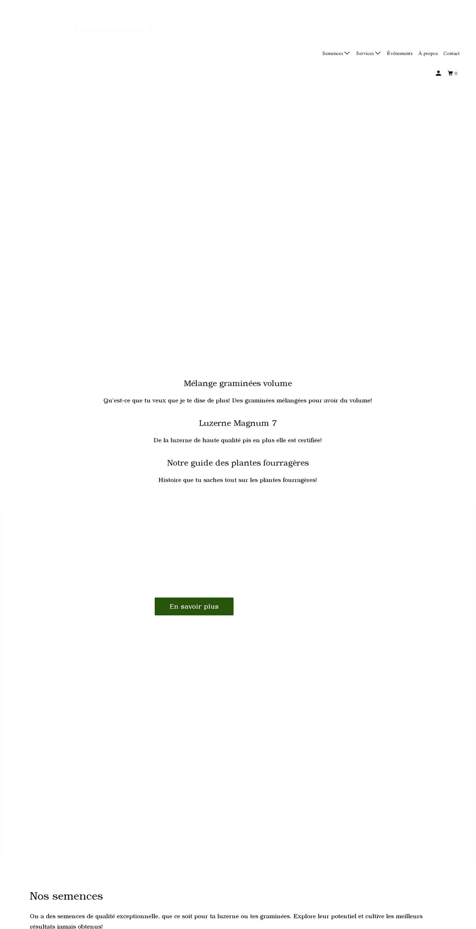 semsolutions.ca shopify website screenshot