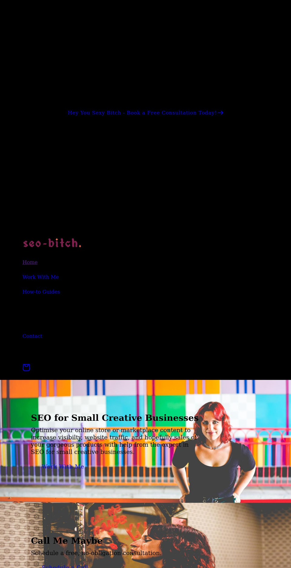 seo-bitch.com shopify website screenshot