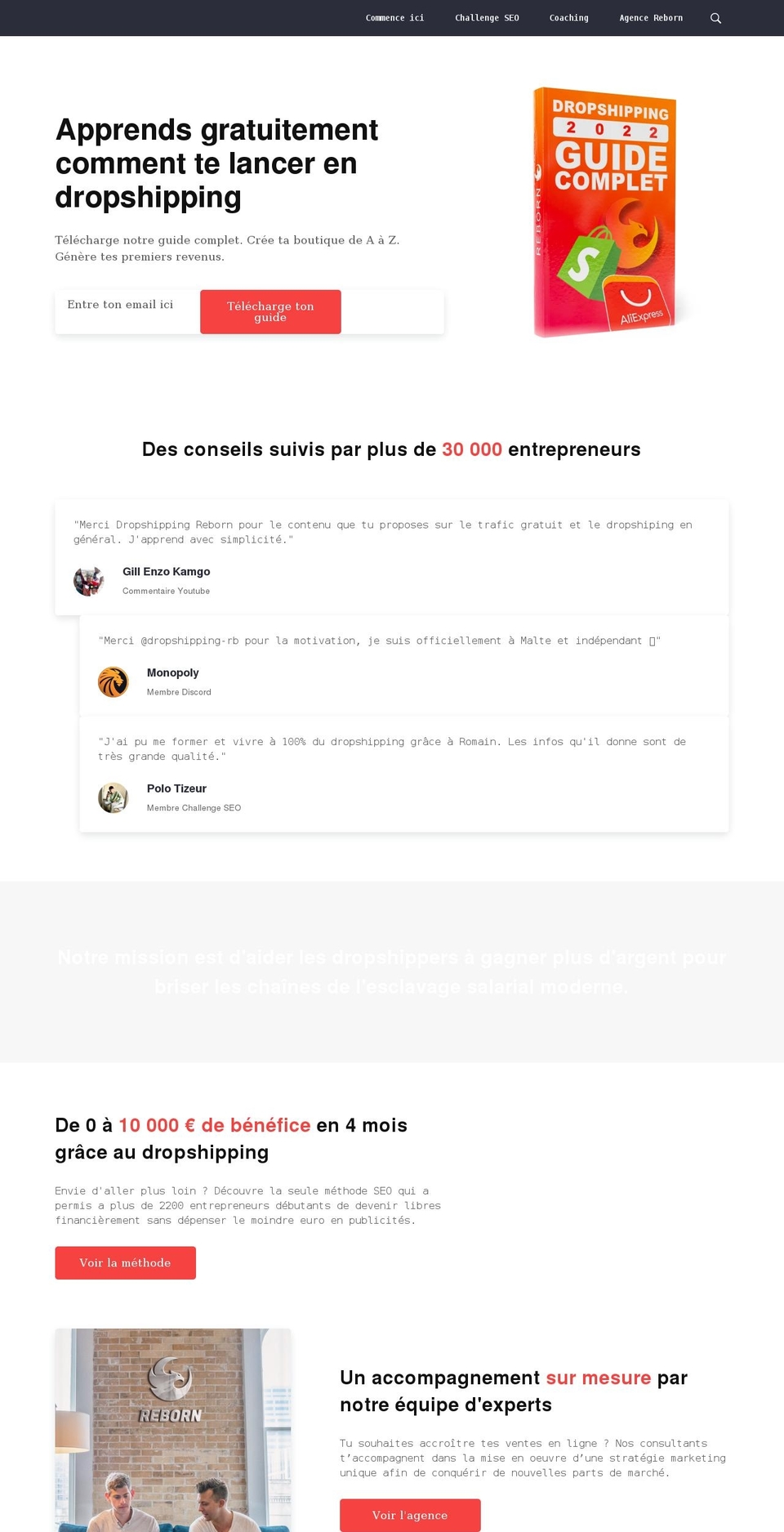 seo-reborn.com shopify website screenshot
