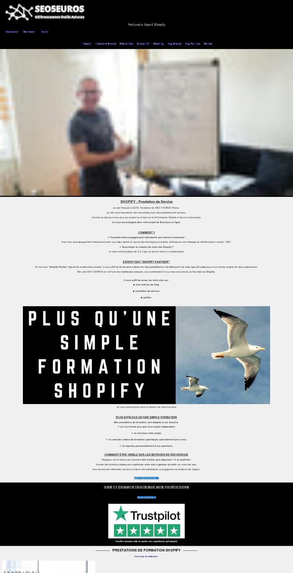 seo5euros.fr shopify website screenshot