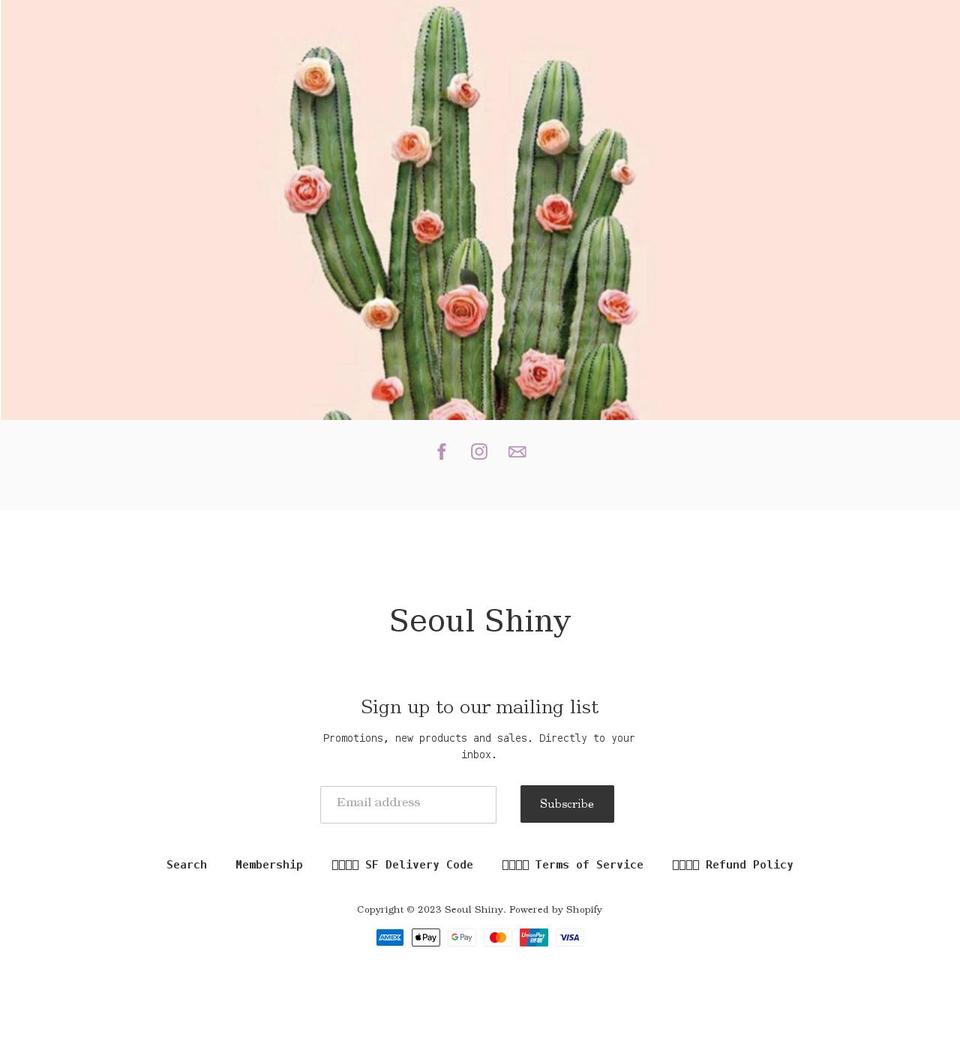 seoulshiny.com shopify website screenshot