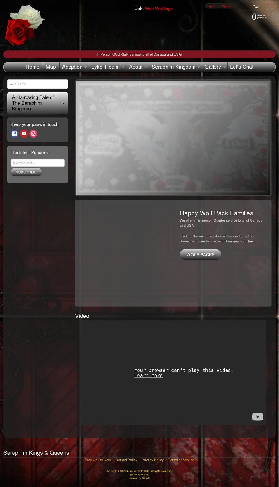 seraphimexoticcats.com shopify website screenshot