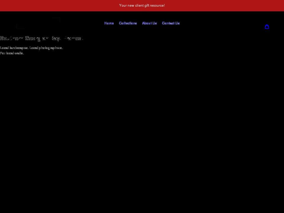 sgbgallery.com shopify website screenshot