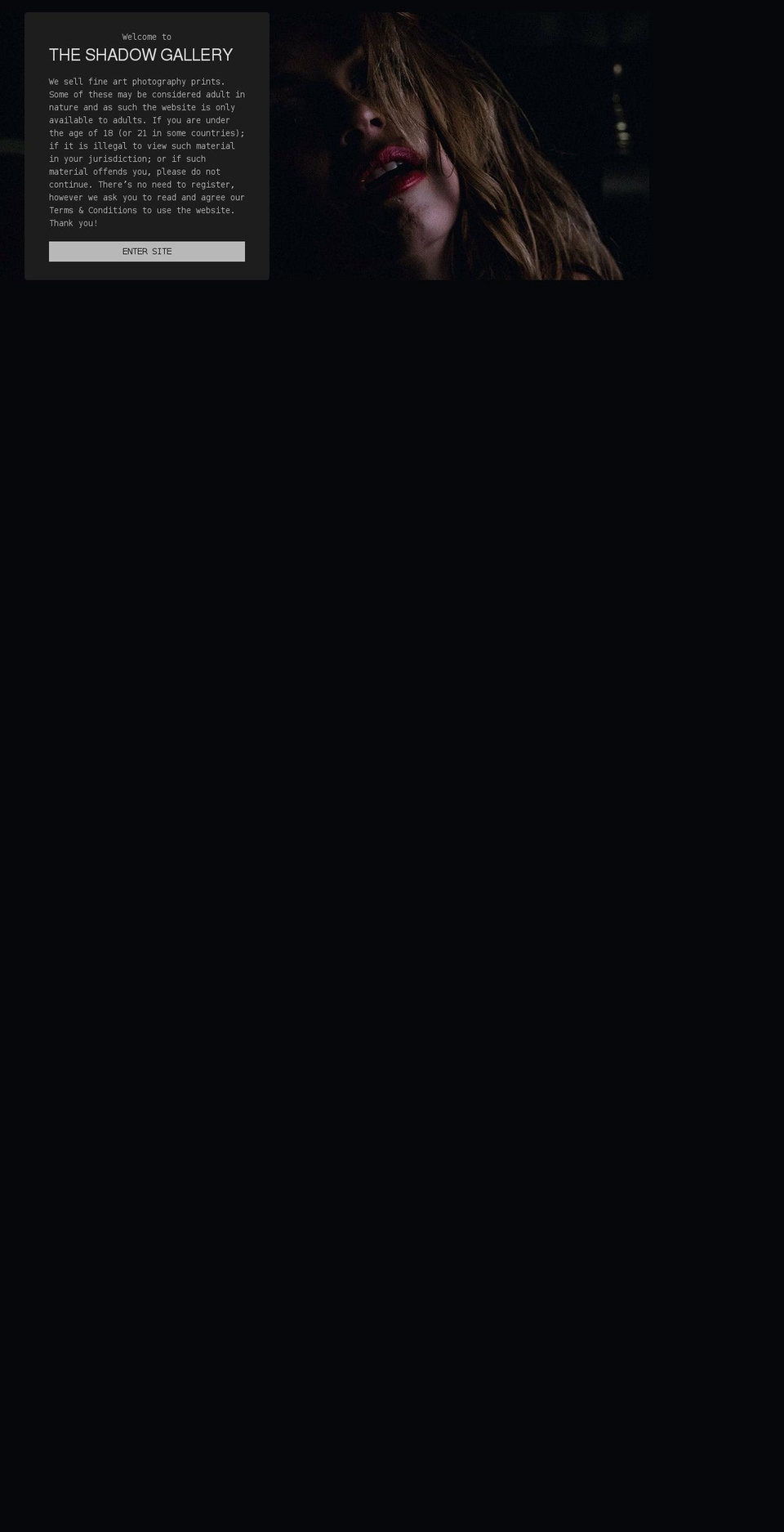 shadow-gallery.com shopify website screenshot