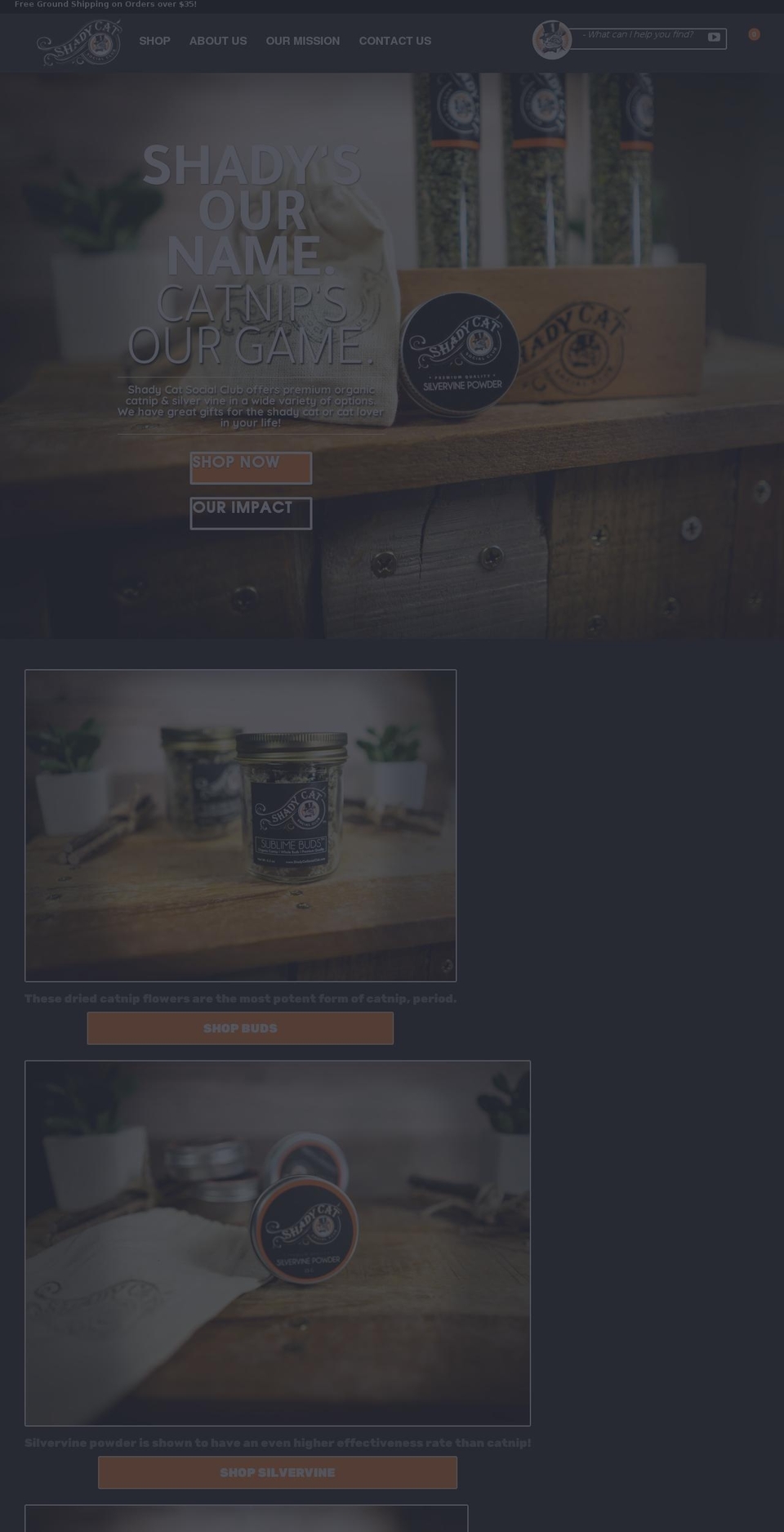 shadycatsocialclub.com shopify website screenshot